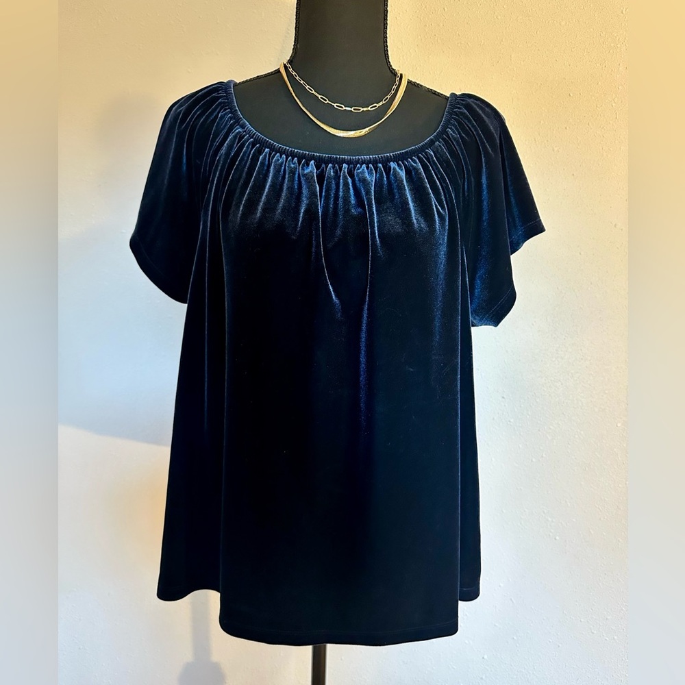 Gap blue velvet blouse